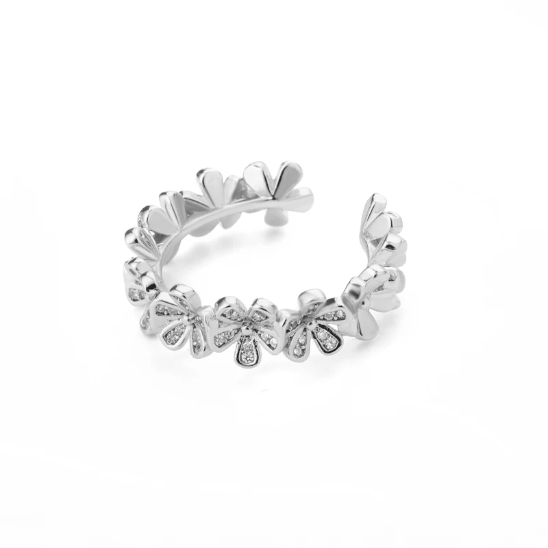 Silver Color