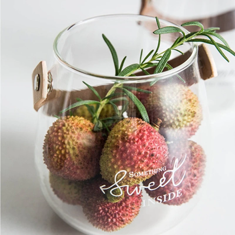 Clear Glass Vase with Leather Handle Terrarium Succulent Planter