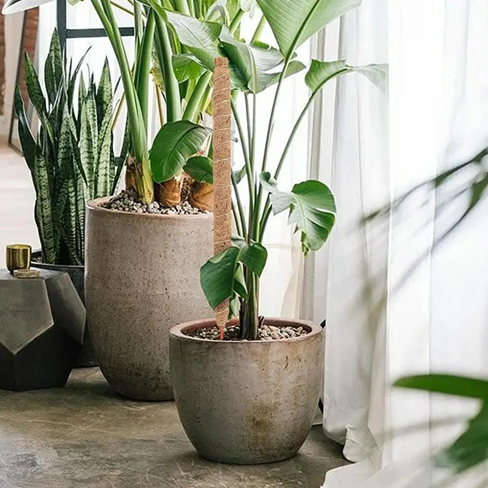 Description Picture 3 of itemMoss Pole Moss Monstera Supporting Poles For Plants Bendable Diy Climbing Rattan Coconut Palm Stick For Courtyard Patio Garden