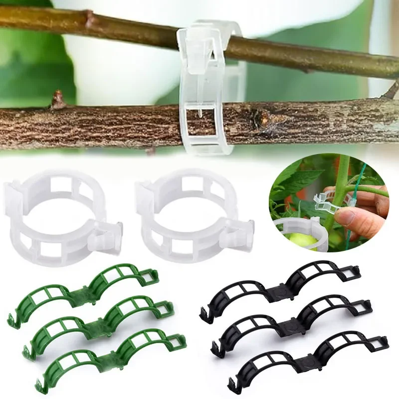 100PCS Plant Fixing Clips Reusable Plant Vegetables Vine Connects Fixing Tool Vegetable Tomato Grafting Protect Garden Supplies