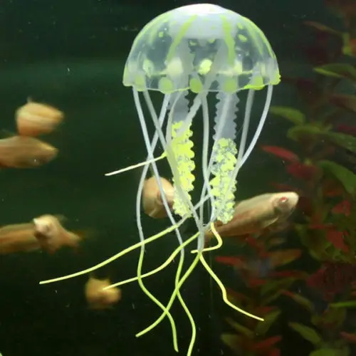Jellyfish yellow