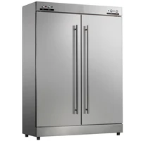 High Quality Double Door Kitchen Tableware Disinfection Cabinet 2