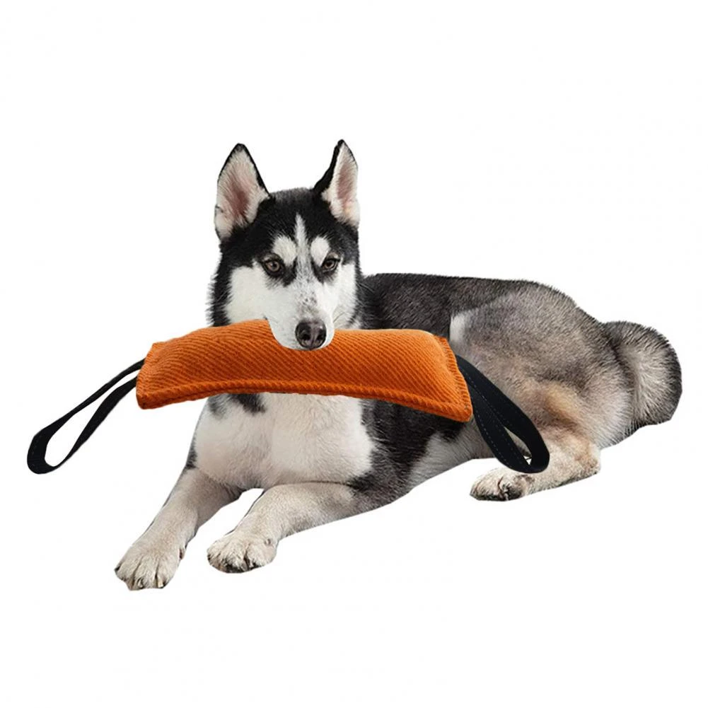 How Do You Clean A Dog Bite