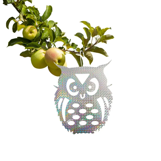 10Pcs silver