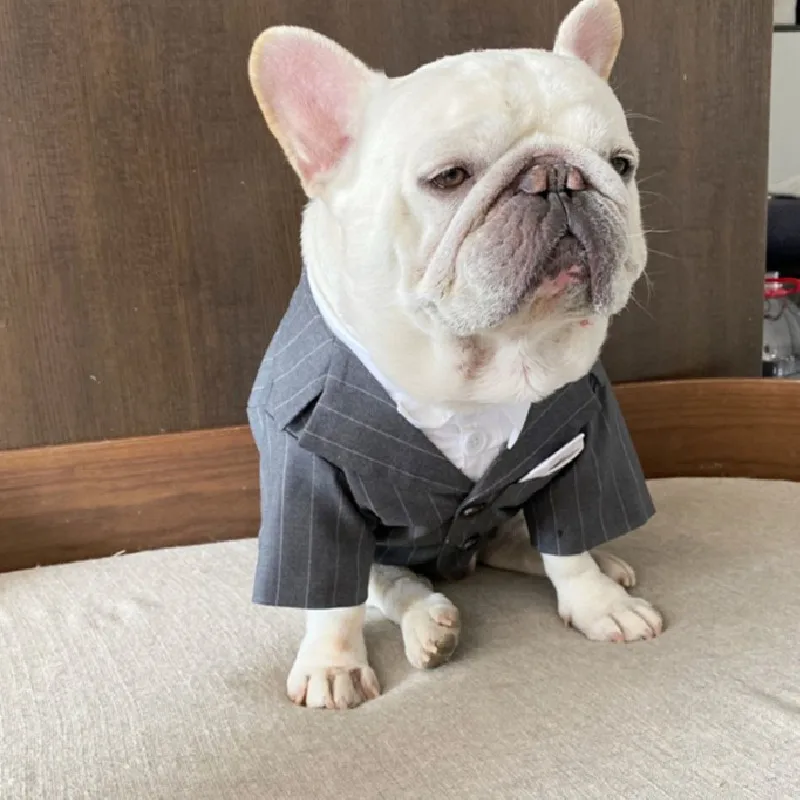 

Handmade Dog Wedding Suit Shirt Boy Dog Clothes Tuxedo Male Pet Clothing Coat Poodle Bichon Schnauzer Pug French Bulldog Costume