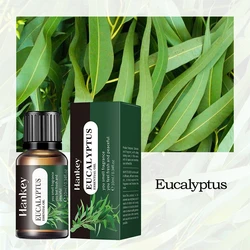Aromatic Essential Oil Variety Set - 20 Fragrances for Diffusers and Humidifiers, 10ml Bottles (Eucalyptus)