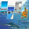 2.4G RC Simulation Shark Toys 4CH Waterproof Electric Remote Control Shark Boat Swimming Pool Bathroom Children Toy Gift 5