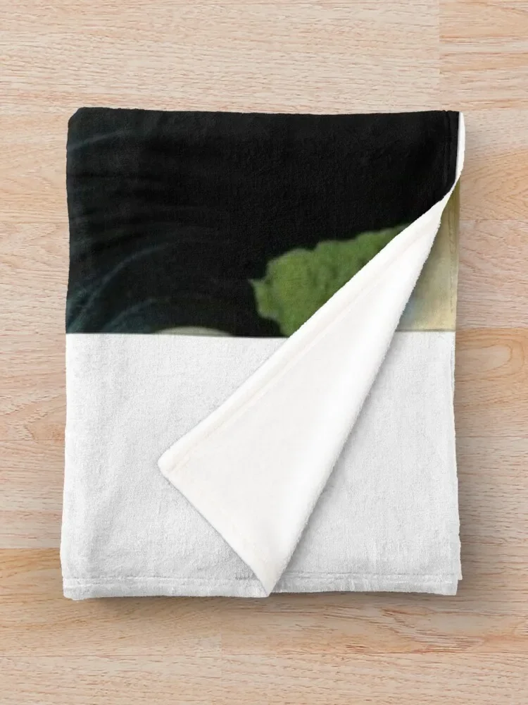 Bam Margera ������ ���, ������ ����, ��Ƽ�� ����Ʈ ���� ����, �ʴ��� ������ ���