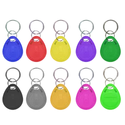 Colorful 100 - Pack RFID 125KHz Proximity Keyfobs for Access Control and Time Attendance (Mixed color)