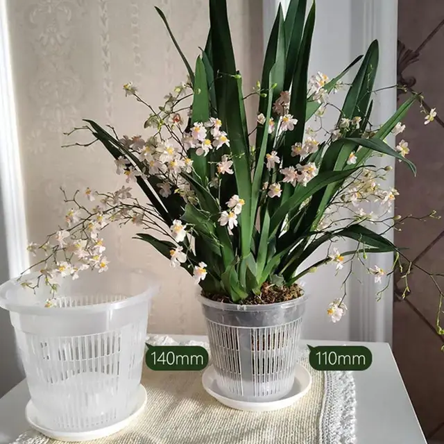 Meshpot-Pots d'orchidées en plastique transparent, jardinières de fleurs, bassin respirant, contrôle des racines, pot de bureau transparent 2