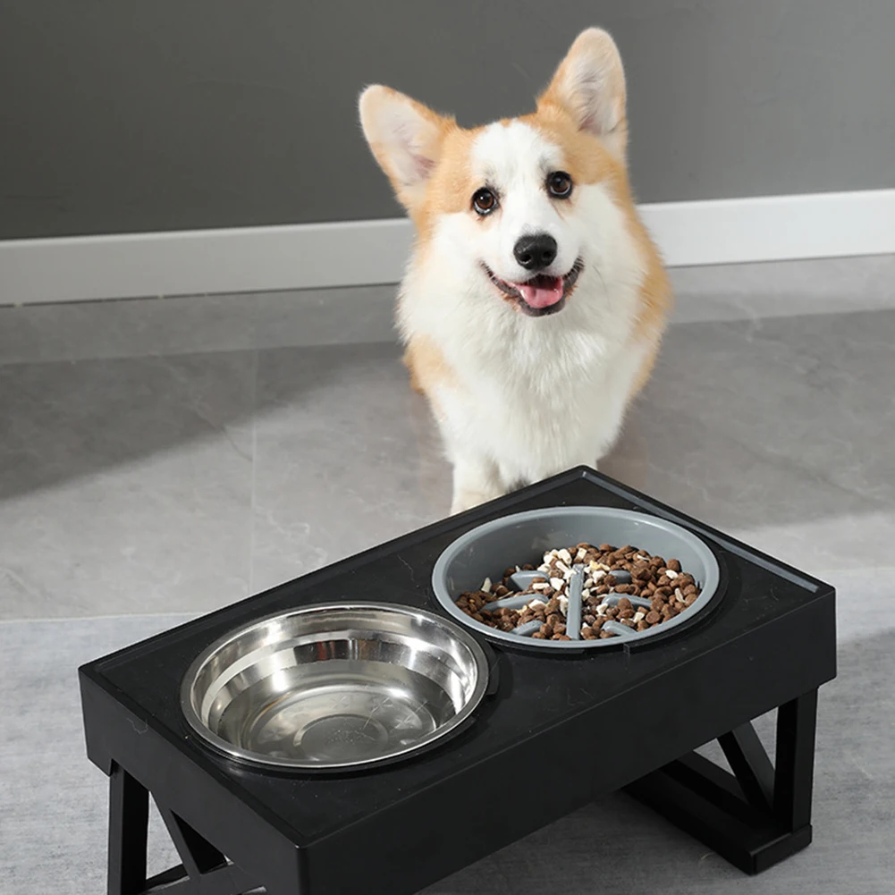 

Elevated Dog Bowls Non-slip Dog Food Bowls Stand Pet Product