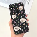 Case-c30