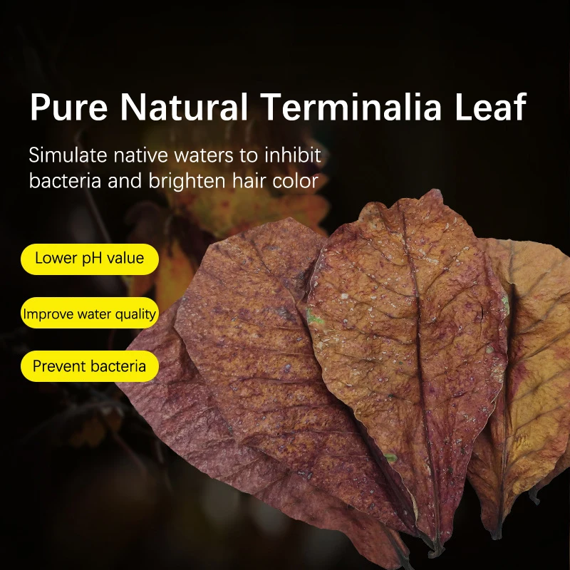 10PCS Natural Terminalia Catappa Foetida Leaf Cleaning Aquarium Tank Lower PH Inhibit Bacteria Fish Treatments