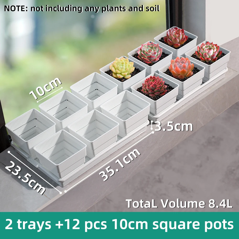 2trays 12pcs 10cm
