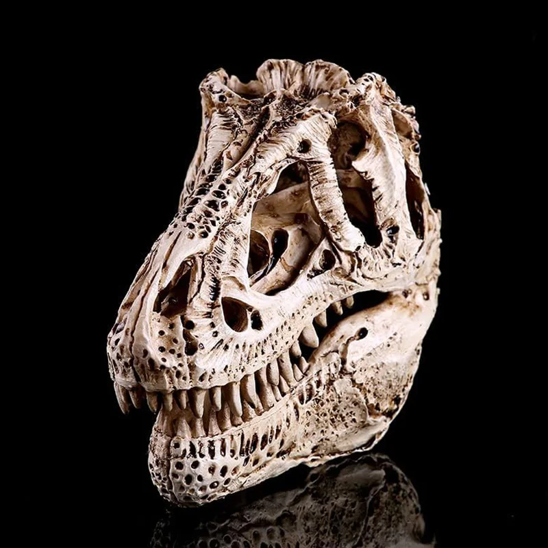 

Смола череп динозавра белая тираннозавр окаменелости обучающая модель скелета скульптура Хэллоуин фестиваль Декор аквариум животные крафт