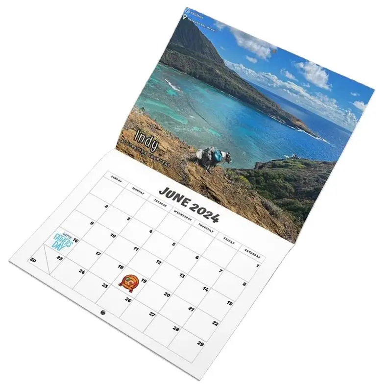 Gag Calendar 2024 Funny Dog Poop Wall Calendar Clear Printing Humorous Gifts For Birthdays Christmas And Anniversaries