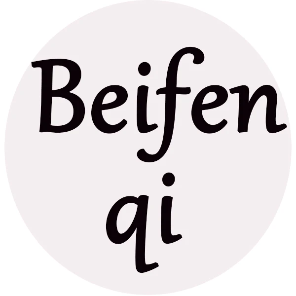 Beifenqi Bag Store