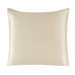 Luxurious Pure Silk Pillowcase with Zipper - Solid Multicolor, Various Sizes - 80x80 cm (Beige gray)