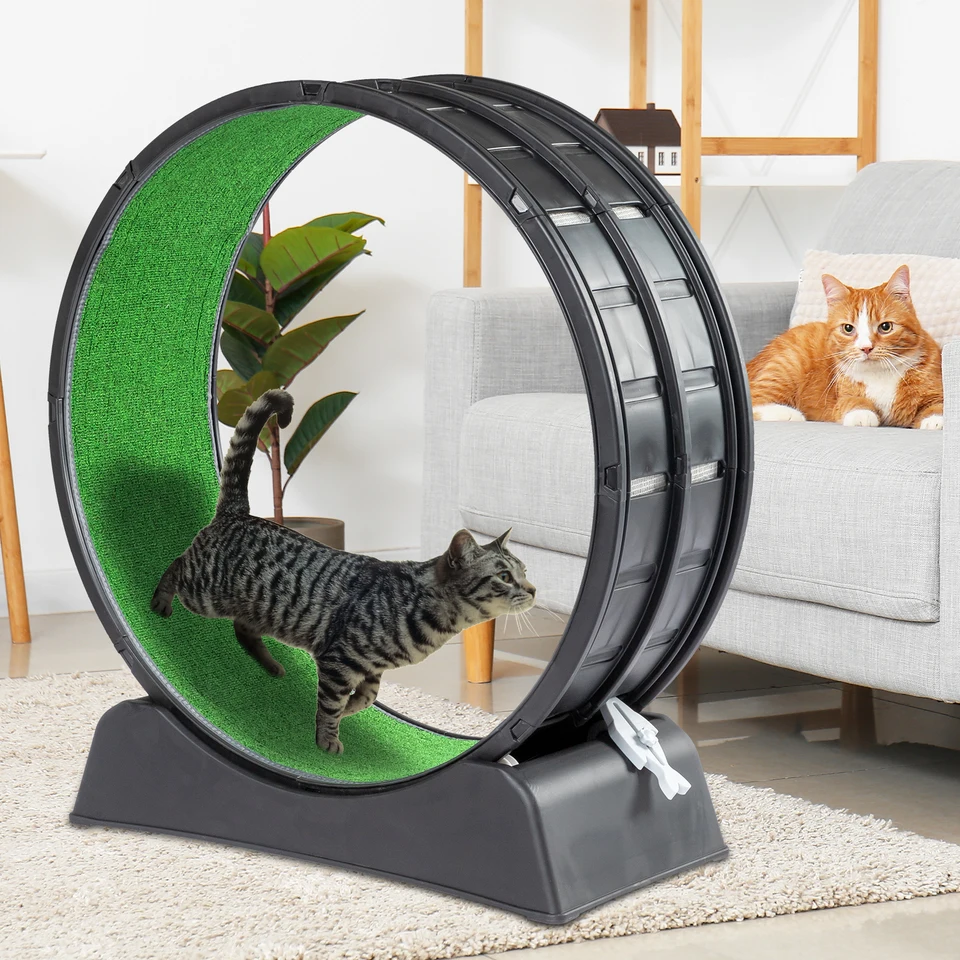 Indoor Cat Running Wheel 31 Inch Treadmill