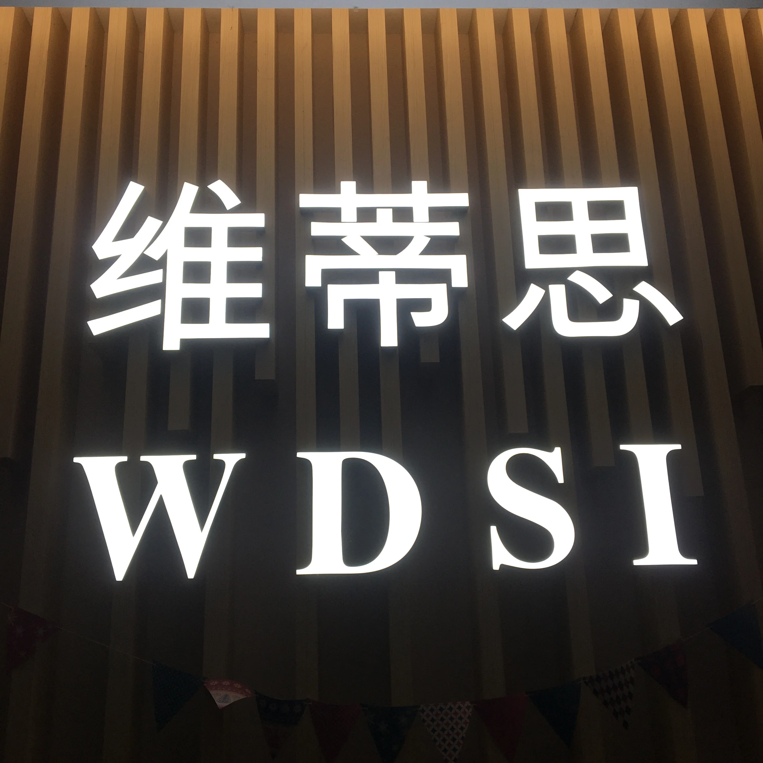 WDSI TOY Store