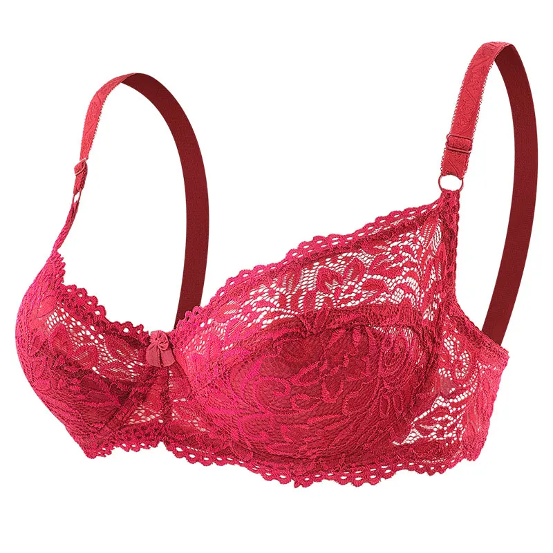 Close-up of Lace Push-up Bras - Various Colored Brassieres Stock Image -  Image of color, push: 119577387