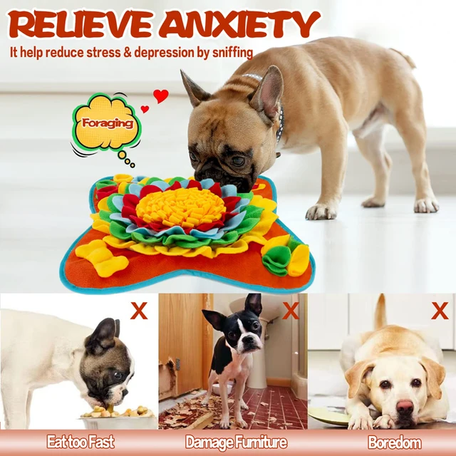 Polymères de reniflage de tortue pour chien, jouet de puzzle pour animal de  compagnie, jeu d'alimentation coule IQ, jouets agités et sonores, activité  de recherche de nourriture - AliExpress