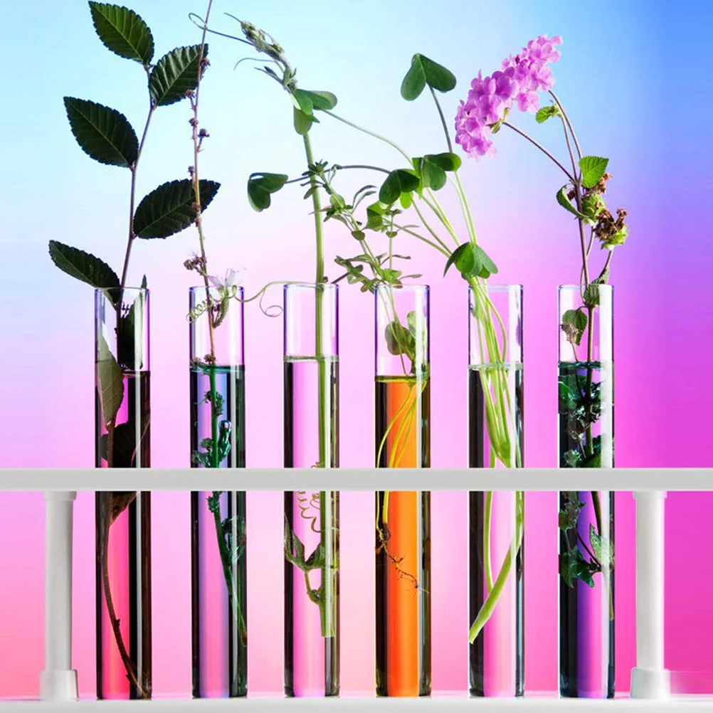 

Test Tube with Cork Professional Sample Tubes Sample Storage Containers for Experiment Laboratory