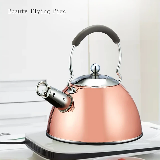 3L Whistling Kettle Stainless Steel Portable Camping Kettle Teapot