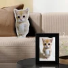 Custom Pets Cushion Personalized Filling Pets Photo Cushion DIY Pillow for Putting Picture of Cats and Dogs Home Decor 5