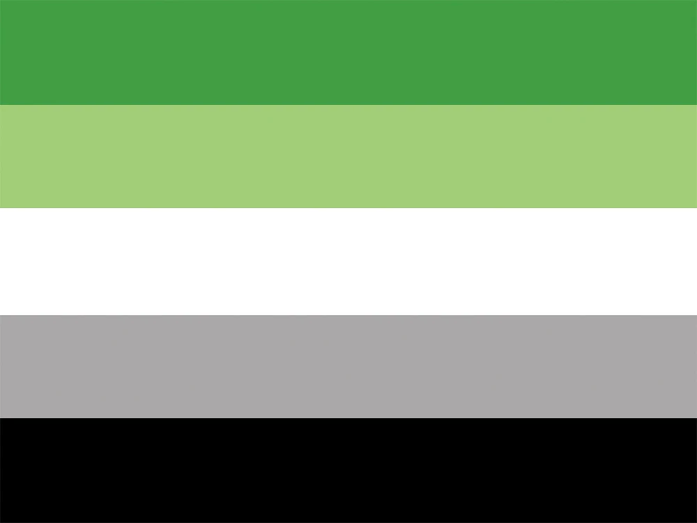 thumbnail image 1 of Bandera arcoíris Aerlxemrbrae 150X90CM Bandera 100D poliéster ojales lgbt Gay arcoíris Progress Pride, 1 of 5