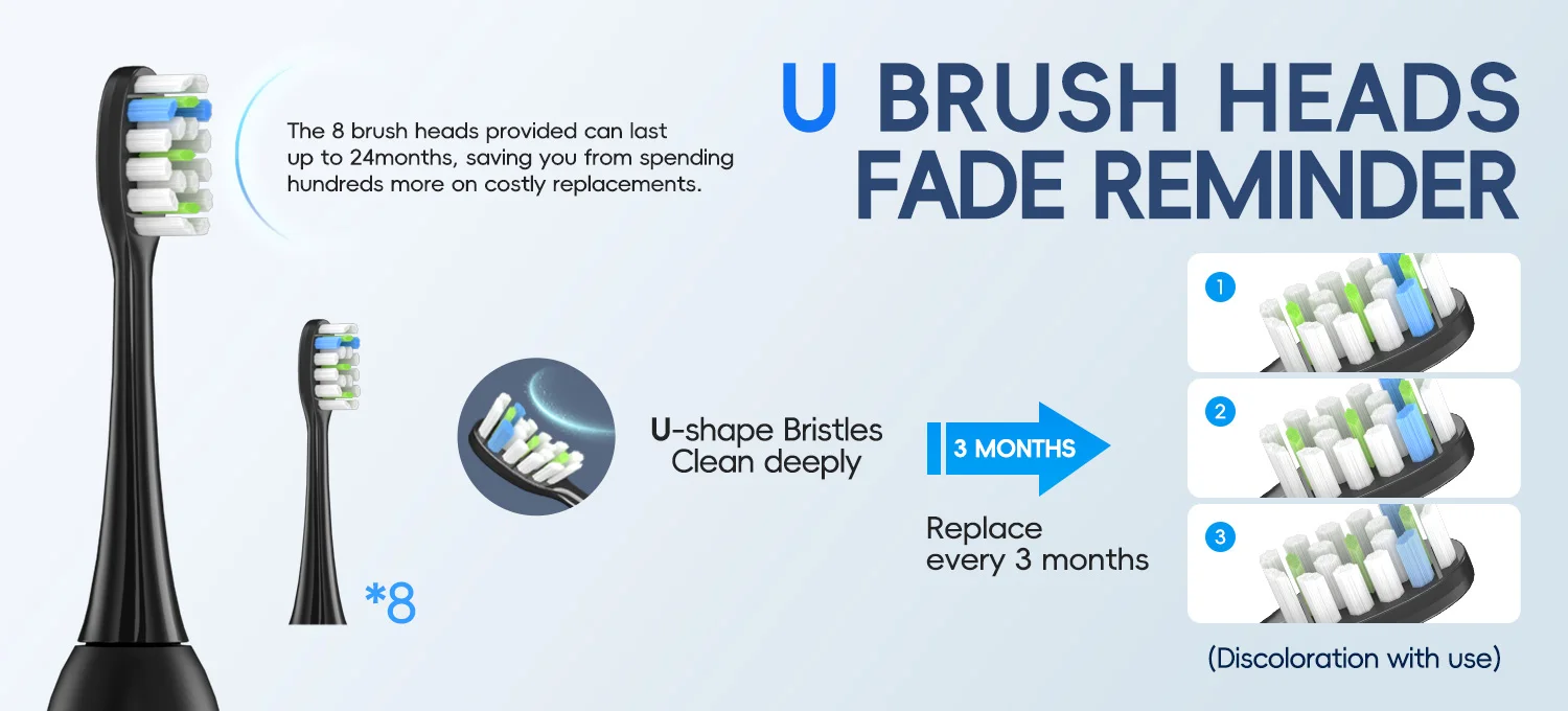 Adult Brushing Modes