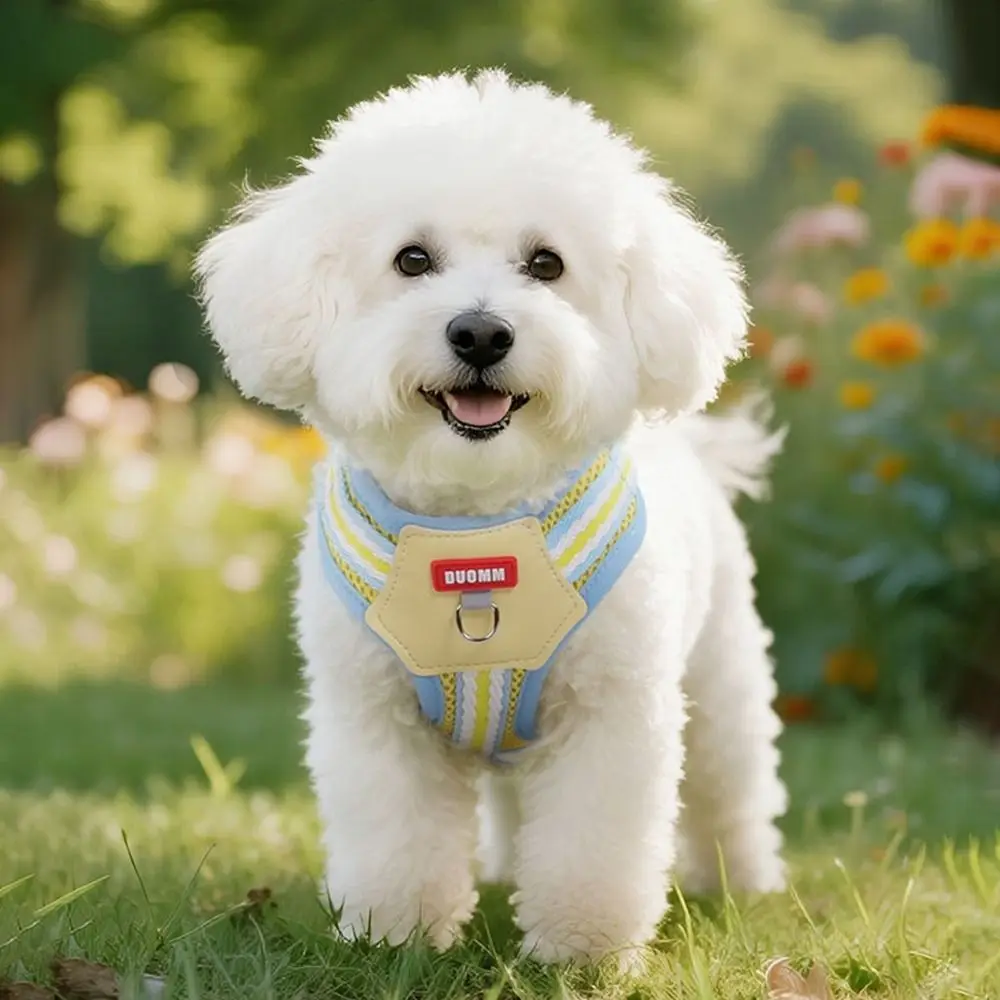 Escape Proof Dopamine Dog Harness Quicklace Soft Pet Chest Strap Breathable Adjustable Cat Jacket Harness for Dogs Cats