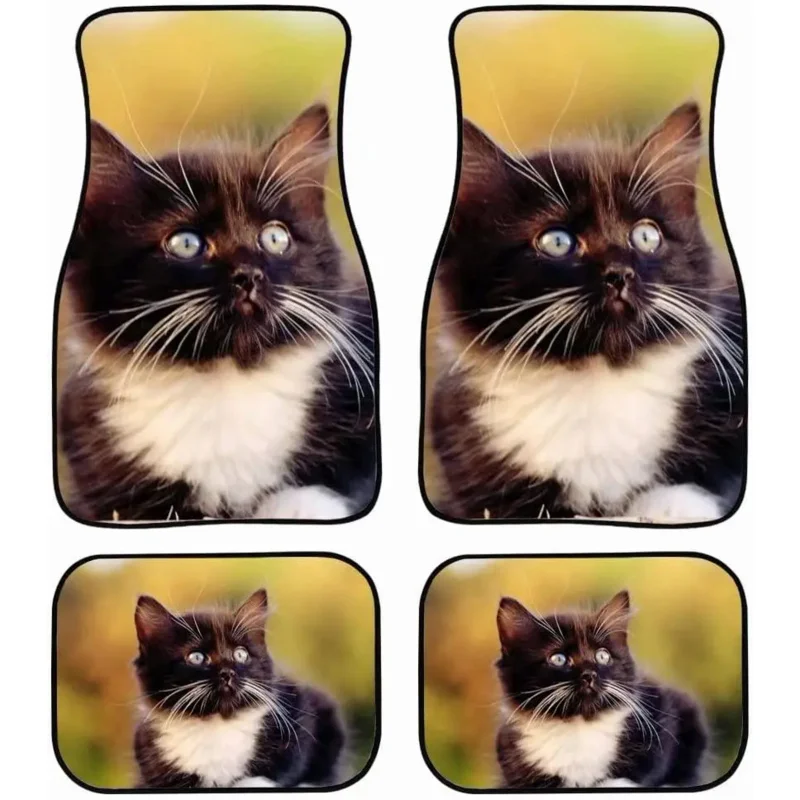 

Black Cat Pattern Car Floor Mats 4-Piece Car Fashion Car Carpet Comfortable Car Floor Blanket Universal Fit for Trucks