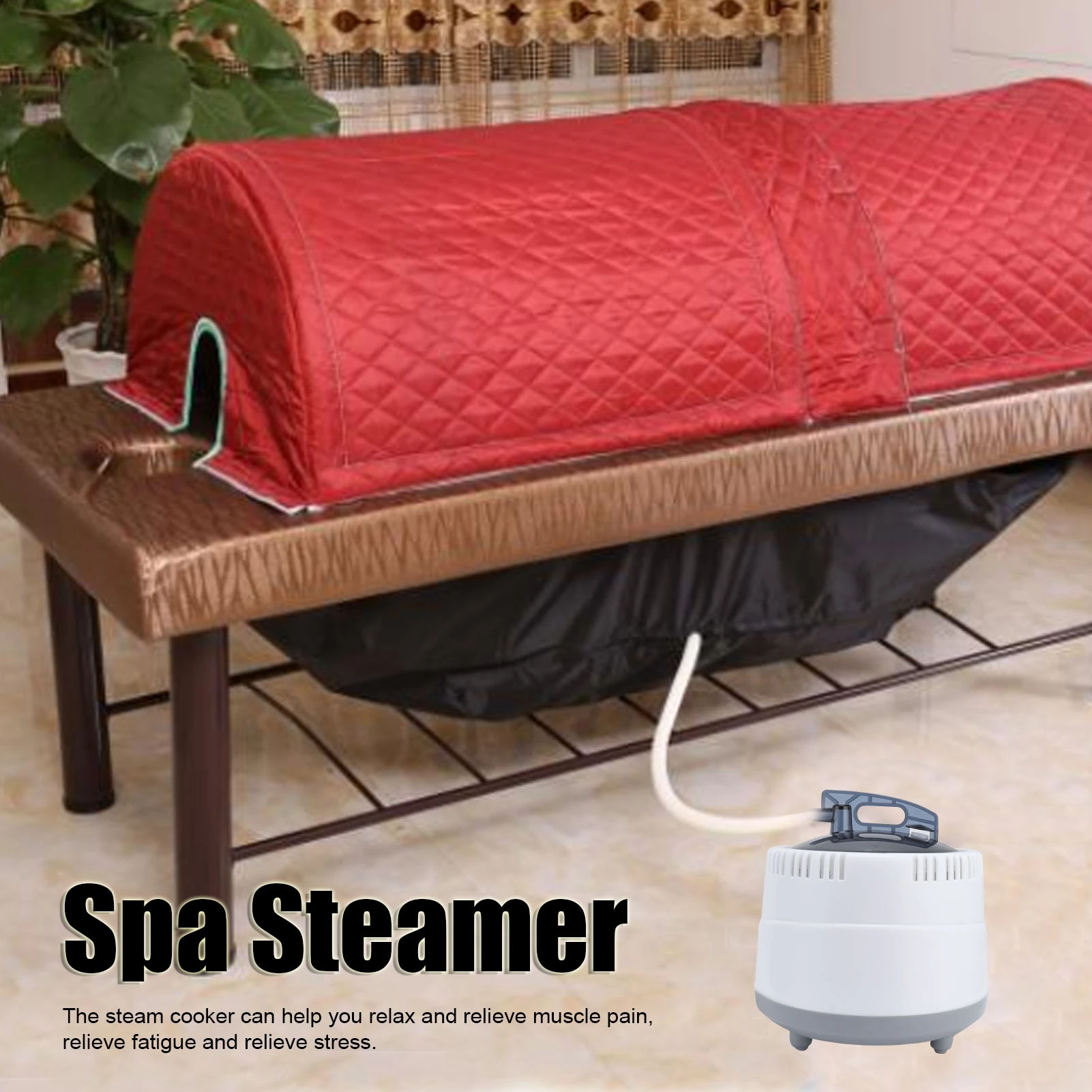 1000W Household Sauna Steamer Pot 2.0L Portable Sweat Spa Steam Pot for Body Detox 5