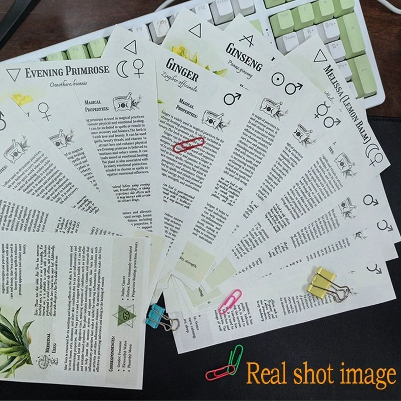 Herbal Tincture Recipes Guide 4