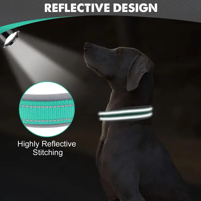 Heavy-Duty Reflective Dog Collar – Small, Medium & Large Dogs 3