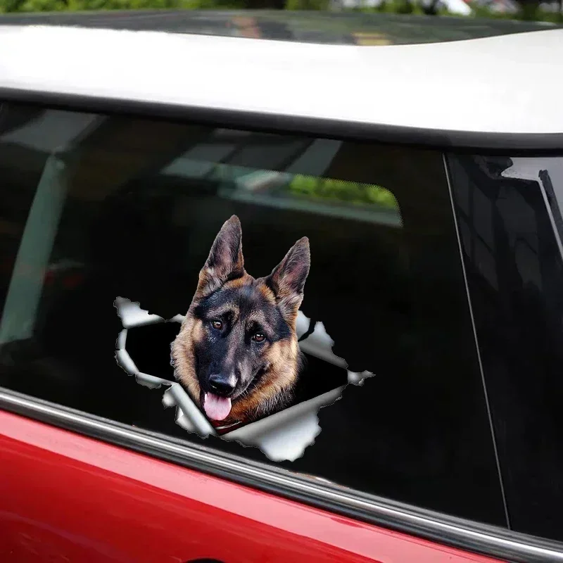 Herdershond - Zwitserse witte herder-Herdershond-Shepherd Hondensticker | Honden stickers - | ⭐ TIP