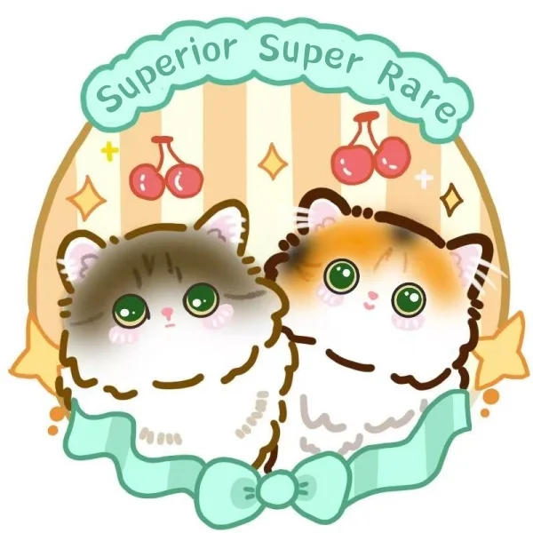 SSR Blind Box Toy Store