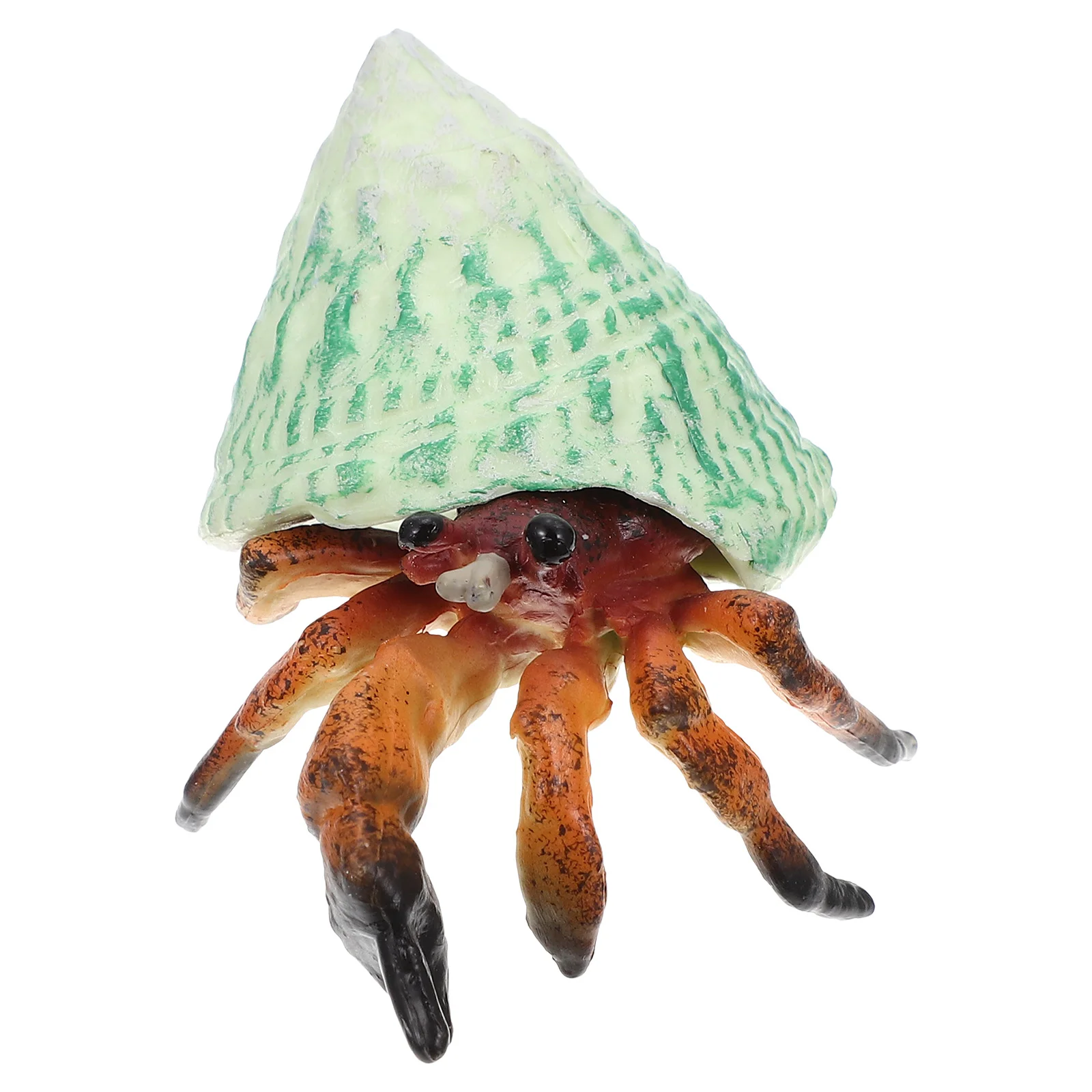

Hermit Crab Model Toy Vivid Animal Ocean Simulation Marine Plastic Child Realistic