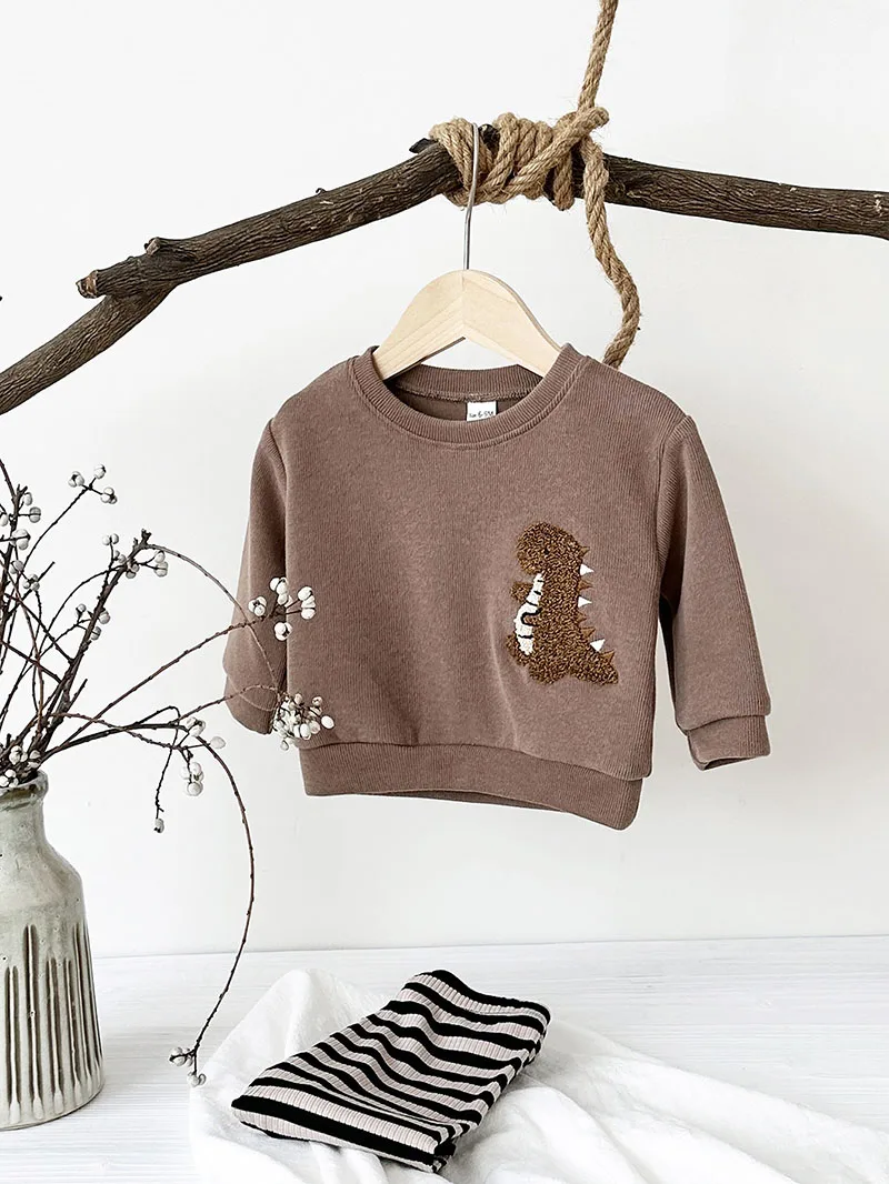 Autumn Baby Clothes Set Cotton Dinosaur Hoodie Trousers