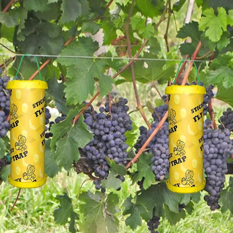 Fly Trap Fly Ribbon Super Sticky Surface Sticky Fly Catcher Trappole Durevole Ampia Applicazione Fly Tapes Per Piante House Kitchen