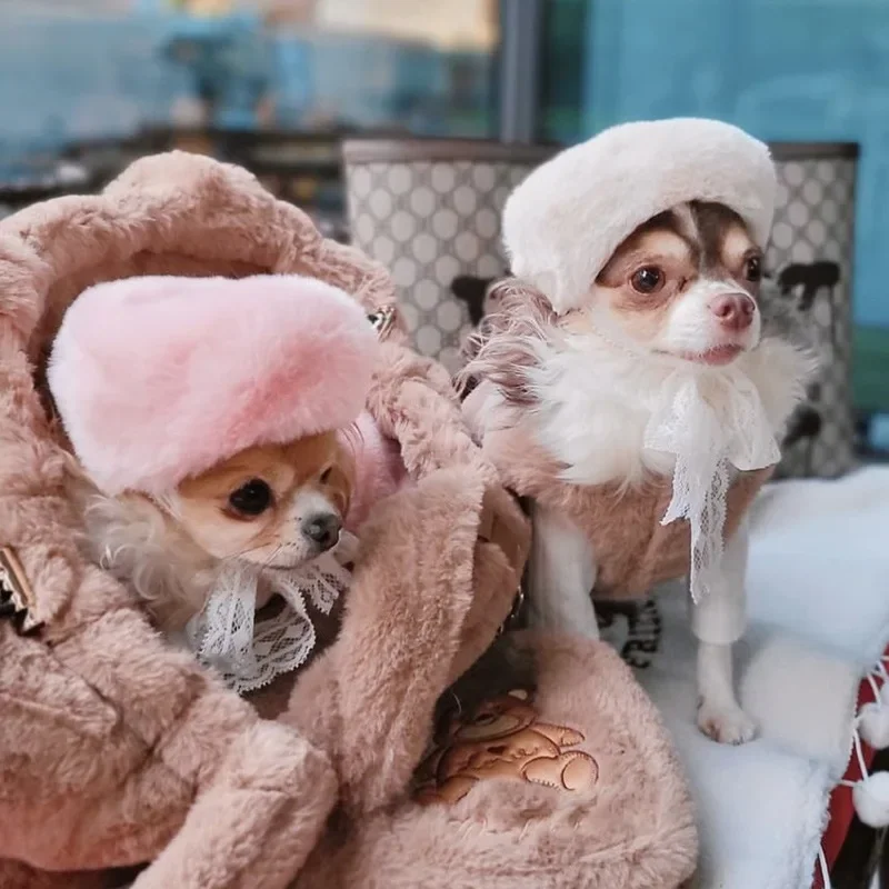 puppy beret