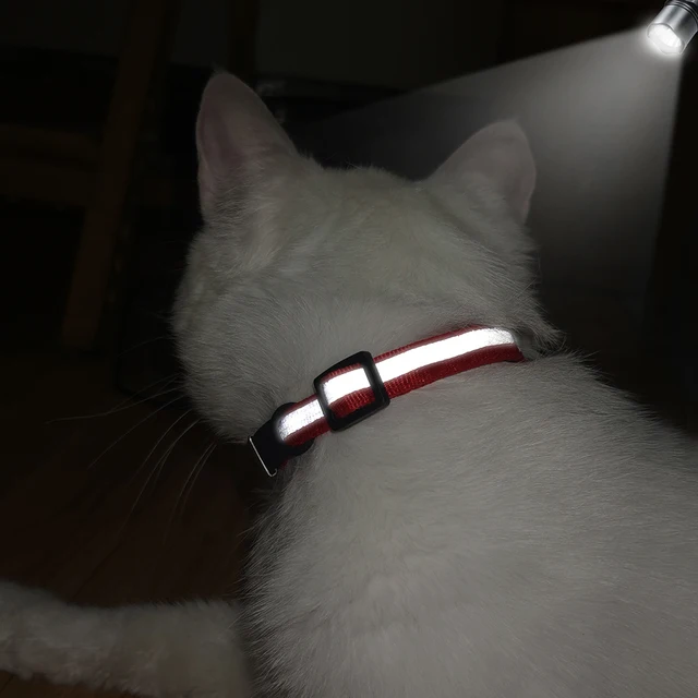 Reflective Cat Collar Engraved Safe Cats Kitten Collars with Bell Puppy Pet Necklace Accessories for Cat Small Dog Chihuahua 4