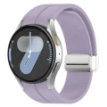 Purple-Silver