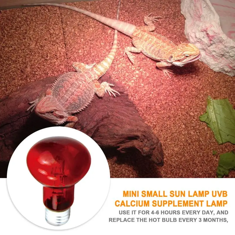 Pet Red Heating Lamp E27 Day Night For Amphibian Snake Lamp Heat Reptile Bulb UV Light 25W 50W 100W AC220-240V
