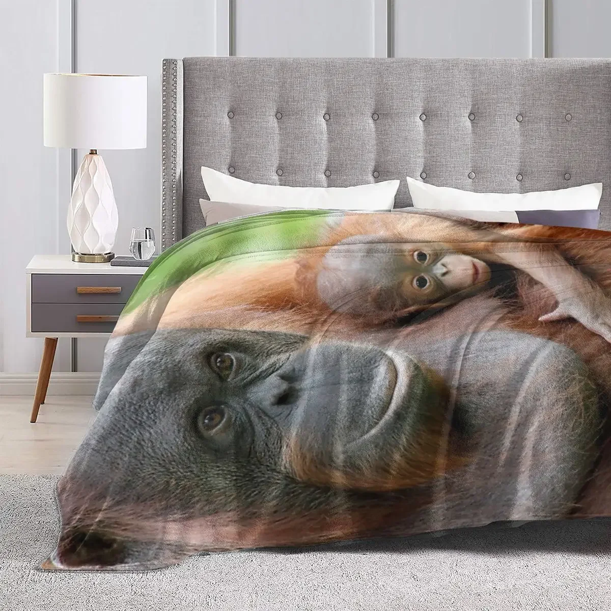 �ö��� ���ο� ���, OrangUtan 003 ���, �ε巯�� ħ��, ������ ���� ���, ħ�� �Ž� ��ũ�� ���� Ȩ ����