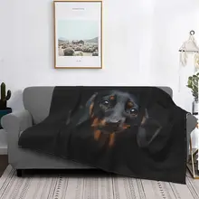 

Dachshund Dog Knitted Blankets Flannel Wiener Sausage Doxie Lightweight Thin Throw Blankets for Airplane Travel Bedspread 09