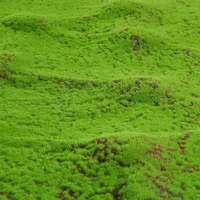 50X50cm Artificial Grass Rug Fake Moss Lawn Garden Landscape Turf Roll Festival Wedding Decoration  Mat Carpet 2