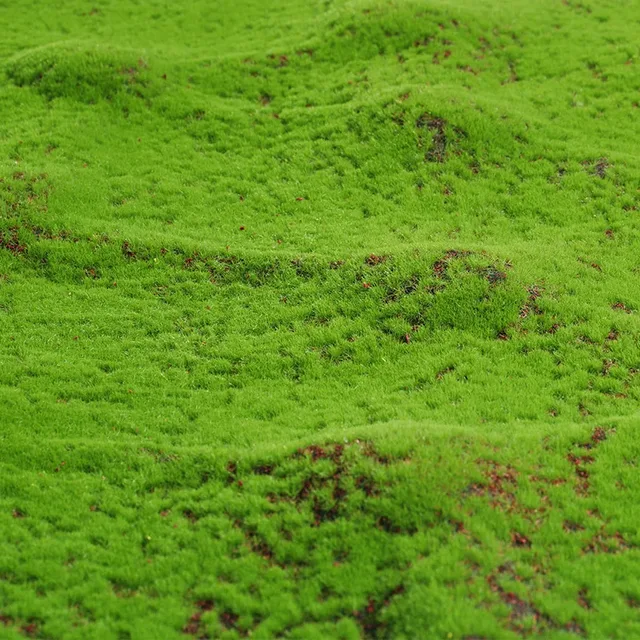 50X50cm Artificial Grass Rug Fake Moss Lawn Garden Landscape Turf Roll Festival Wedding Decoration  Mat Carpet 2