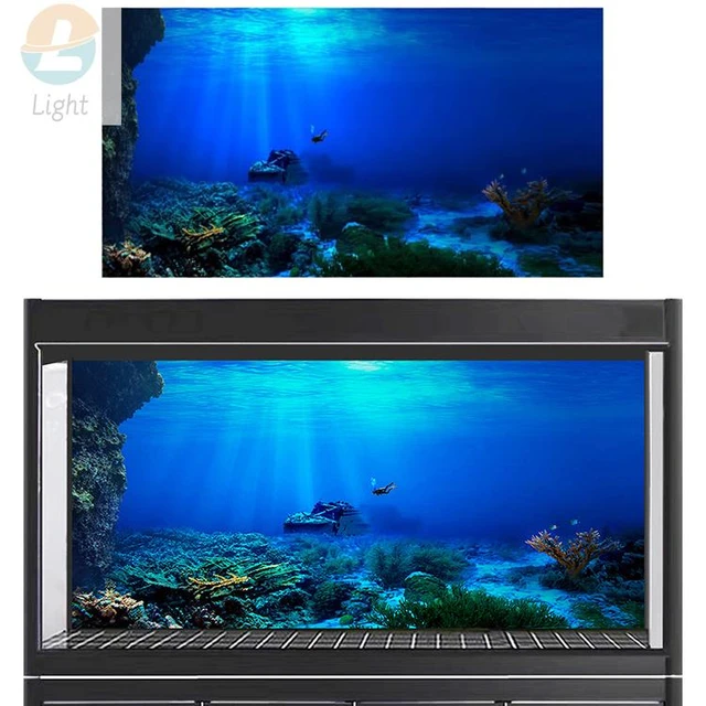 Rainforest Aquarium Background Poster Fish Tank Reptile Box PVC 3D  Underwater World Landscape Picture Decor Backdrop